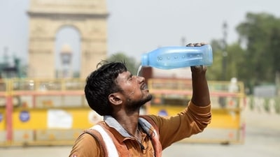 The first, and perhaps most basic, question is, why is heat now killing people? (Hindustan Times) The first, and perhaps most basic, question is, why is heat now killing people? (Hindustan Times)