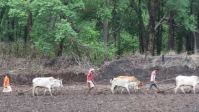Adivasis cultivating land at the edge of a Forest Village.