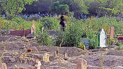 A graveyard (Representative image) (ANI) A graveyard (Representative image) (ANI)