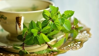 Peppermint teaPeppermint: Peppermint has soothing properties that can help ease pregnancy nausea. Sip on peppermint tea or suck on peppermint candies to relieve symptoms. (Pixabay) Peppermint teaPeppermint: Peppermint has soothing properties that can help ease pregnancy nausea. Sip on peppermint tea or suck on peppermint candies to relieve symptoms. (Pixabay)