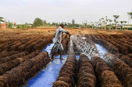 Rice paddies in India, Pakistan, Bangladesh and Argentina are a significant contributor to methane emissions (AFP) Rice paddies in India, Pakistan, Bangladesh and Argentina are a significant contributor to methane emissions (AFP)