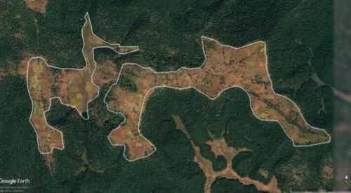 Figure 1. Cultivation status in a Forest Village in 2005.