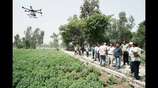 CIMAP scientists demonstrating to farmers how solar drones can be used to irrigate fields and sprinkle insecticides. (Sourced)