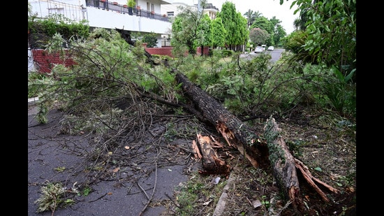 IMD officials said wind speeds went up to 70 km per hour for a few seconds and similar wind speeds will be unlikely in the coming days as clear weather is expected. (Keshav Singh/HT)
