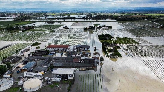 An aerial view shows a flooded pig farm and surrounding fields in the town of Lugo on May 18, 2023, after heavy rains caused flooding across Italy's northern Emilia Romagna region.&nbsp;(AFP)