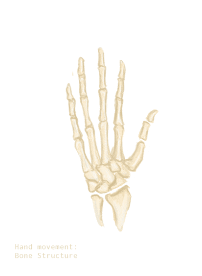 The human hand is a complex structure where all elements work together with precision for dexterity. (Creative Commons Share Alike 4.0 International) The human hand is a complex structure where all elements work together with precision for dexterity. (Creative Commons Share Alike 4.0 International)