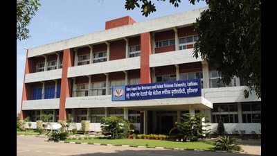 It will also facilitate the exchange of scientific database and information, capacity building for faculty and students, joint seminars for scientific deliberations and action plans, and collaborative research projects. (HT File Photo) It will also facilitate the exchange of scientific database and information, capacity building for faculty and students, joint seminars for scientific deliberations and action plans, and collaborative research projects. (HT File Photo)