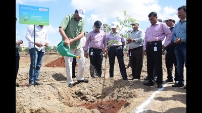 Last year, Maha-Metro planted 12,764 trees in PMC areas and 5,572 trees in PCMC. (REPRESENTATIVE PIC) Last year, Maha-Metro planted 12,764 trees in PMC areas and 5,572 trees in PCMC. (REPRESENTATIVE PIC)