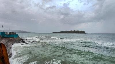 The local administration, however, said access to Great Nicobar Island is permitted, but visit to tribal area requires pass as per regulations (PTI) The local administration, however, said access to Great Nicobar Island is permitted, but visit to tribal area requires pass as per regulations (PTI)
