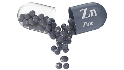 Zinc intake should be made regular in the diet – it helps in minimising sugar cravings and improving the immunity of the body. (Unsplash) Zinc intake should be made regular in the diet – it helps in minimising sugar cravings and improving the immunity of the body. (Unsplash)