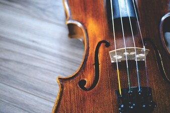 Talib embarked on a musical odyssey, delving into the realms of folk, Indian classical, and light music. (Unsplash) Talib embarked on a musical odyssey, delving into the realms of folk, Indian classical, and light music. (Unsplash)