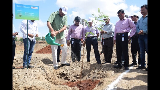 Last year, Maha-Metro planted 12,764 trees in PMC areas and 5,572 trees in PCMC. (REPRESENTATIVE PIC)