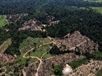 Land robbers drive traditional communities off the land and then clear it, hoping the government will recognize them as owners, which usually happens.(REUTERS)