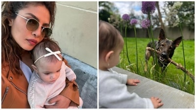 A new picture of Priyanka Chopra's daughter Malti Marie Chopra Jonas and pet Gino has been shared on Instagram. A new picture of Priyanka Chopra's daughter Malti Marie Chopra Jonas and pet Gino has been shared on Instagram.