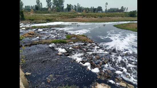 Untreated effluents from the Dhanaura Escape Canal being discharged into the Yamuna near Nabipur village of Karnal district. (file photo)