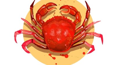 Cancer Daily Horoscope Today for April 24, 2023: ﻿This is the day to unleash your inner warrior, Cancer.
