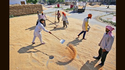State government has operationalised 2,780 mandis in the state during the present rabi season: Minister. (ANI File Photo)