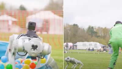 The image shows the robot dog in a dog show. (YouTube/@ZacAlsop)