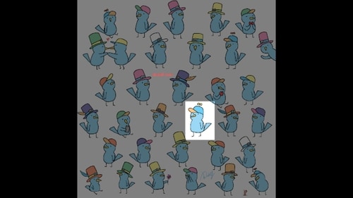 Viral Brain Teaser: A bird with a unique hat is highlighted in this picture. (Gergely Dudás) Viral Brain Teaser: A bird with a unique hat is highlighted in this picture. (Gergely Dudás)