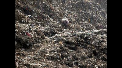 Aimed at effectively tackling the city’s daily waste generation of 550 MT, the new plant, with a capacity of 600 tonnes per day, is proposed to comprise three facilities – one each for dry, wet and horticulture waste. (HT File Photo)