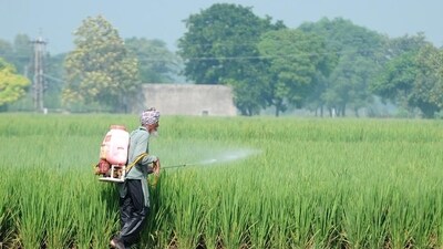 In November last year, while addressing the G20 summit in Bali,   the PM said, “Today’s fertiliser shortage is tomorrow's food crisis.” (HT)
