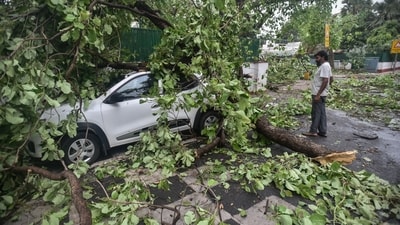 The thunderstorm also uprooted trees and electric poles in the Pauri district. (Photo by Raj K Raj/ Hindustan Times)