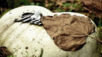 Teen suicides and drug overdoses had been on the rise over the last decade, but that rise accelerated during the pandemic. (Pixabay) Teen suicides and drug overdoses had been on the rise over the last decade, but that rise accelerated during the pandemic. (Pixabay)