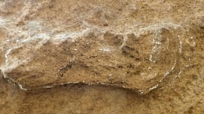 The oldest known footprint of our species, lightly ringed with chalk. It appears long and narrow because the trackmaker dragged their heel. (Charles Helm) The oldest known footprint of our species, lightly ringed with chalk. It appears long and narrow because the trackmaker dragged their heel. (Charles Helm)