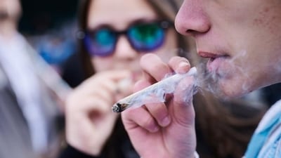 Cannabis smoke contains many of the same harmful chemicals as tobacco smoke, which can damage the lungs. (Annette Riedl/dpa/picture alliance) Cannabis smoke contains many of the same harmful chemicals as tobacco smoke, which can damage the lungs. (Annette Riedl/dpa/picture alliance)