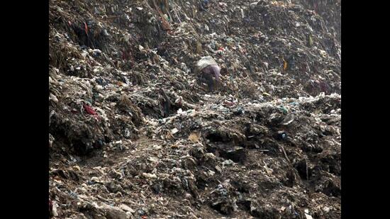 Aimed at effectively tackling the city’s daily waste generation of 550 MT, the new plant, with a capacity of 600 tonnes per day, is proposed to comprise three facilities – one each for dry, wet and horticulture waste. (HT File Photo)
