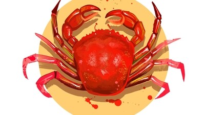 Cancer Daily Horoscope Today for April 26, 2023: Take advantage of this powerful energy and seize the day!