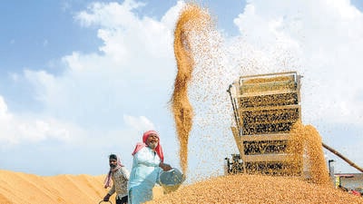 Food output is closely linked to inflation as well as growth of the rural economy. (PTI) Food output is closely linked to inflation as well as growth of the rural economy. (PTI)