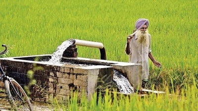 Groundwater levels in the district are declining because of continuous withdrawal for paddy sowing. (HT File Photo) Groundwater levels in the district are declining because of continuous withdrawal for paddy sowing. (HT File Photo)