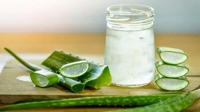 Aloe vera: It is a miraculous plant that offers a wide range of health benefits. It can help strengthen your cardiovascular system, regulate good cholesterol, lower your triglyceride levels, and also reduce blood pressure. All of these help in relieving chest pain. You must drink aloe vera juice 1 to 2 times daily. (pixabay) Aloe vera: It is a miraculous plant that offers a wide range of health benefits. It can help strengthen your cardiovascular system, regulate good cholesterol, lower your triglyceride levels, and also reduce blood pressure. All of these help in relieving chest pain. You must drink aloe vera juice 1 to 2 times daily. (pixabay)