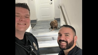 Pismo Beach Police Department shares selfie with a seal. (Facebook/@Pismo Beach Police Department ) Pismo Beach Police Department shares selfie with a seal. (Facebook/@Pismo Beach Police Department )