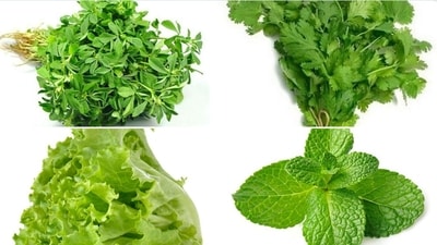 Can you name these green leafy veggies correctly? (Twitter/@SwiggyInstamart) Can you name these green leafy veggies correctly? (Twitter/@SwiggyInstamart)