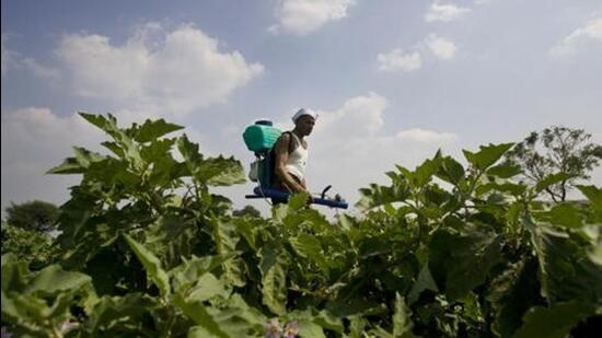 The total area under natural farming in the state is around 50,000 acres so far. The target is to bring an additional 30,000 acres under natural farming in 2023-24. (File photo)