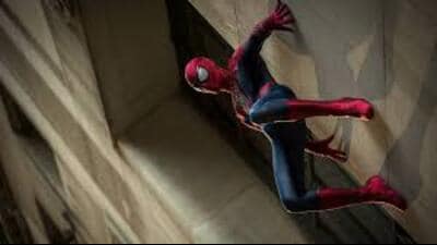 At least 40% of Spidey’s surface area would need to be covered in seta (tiny hair-like structures that help geckos climb), if he wanted to carry his human frame up a vertical wall, scientists at the University of Cambridge concluded in a study. At least 40% of Spidey’s surface area would need to be covered in seta (tiny hair-like structures that help geckos climb), if he wanted to carry his human frame up a vertical wall, scientists at the University of Cambridge concluded in a study.
