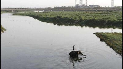 Both the Delhi lieutenant governor VK Saxena and the Delhi government are working on the Yamuna cleanup. (HT Photo) Both the Delhi lieutenant governor VK Saxena and the Delhi government are working on the Yamuna cleanup. (HT Photo)