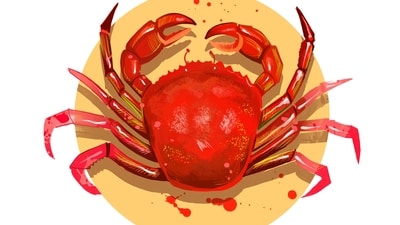 Cancer Daily Horoscope Today for May 27, 2023: ﻿Cancer, today is the day to break out of your shell and show off your sparkling personality.