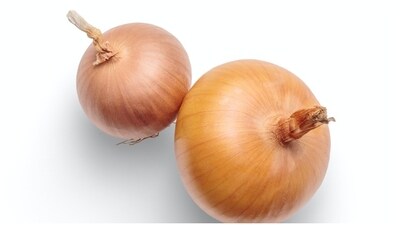 Onions and garlic: Onions and garlic, whether raw, cooked, or in powdered form, contain compounds that can damage a dog's red blood cells and cause anaemia. Symptoms may include weakness, lethargy, pale gums, and decreased appetite. (Unsplash) Onions and garlic: Onions and garlic, whether raw, cooked, or in powdered form, contain compounds that can damage a dog's red blood cells and cause anaemia. Symptoms may include weakness, lethargy, pale gums, and decreased appetite. (Unsplash)