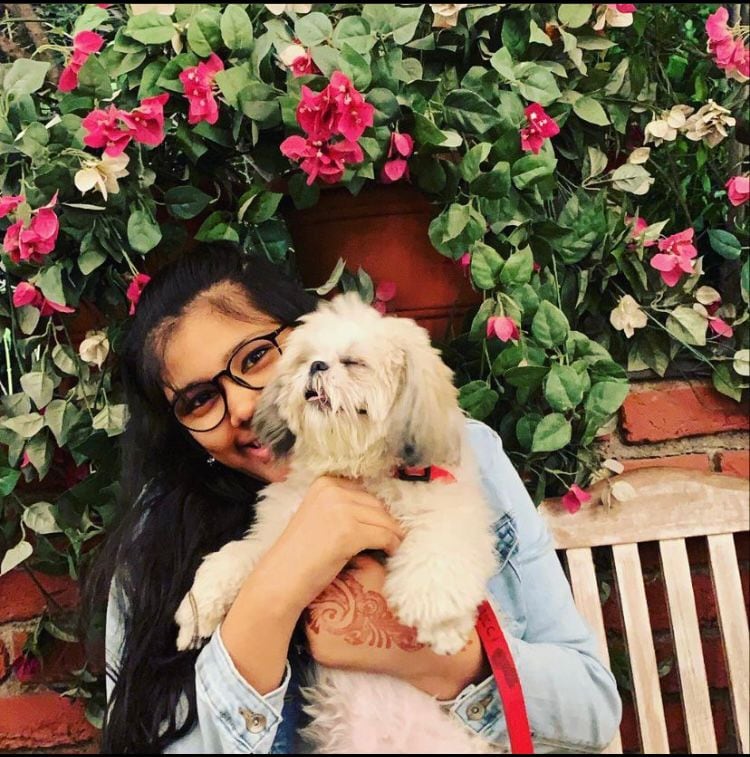 Shaumita Das Gupta with her three-year-old furball shih tzu, Gucci. Shaumita Das Gupta with her three-year-old furball shih tzu, Gucci.