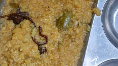 A dead snake was found in the mid-day meal (File Photo) A dead snake was found in the mid-day meal (File Photo)
