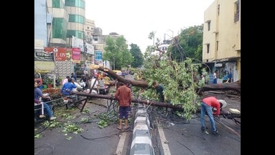 A tree uprooted on BN Road in Lucknow. (HT) A tree uprooted on BN Road in Lucknow. (HT)