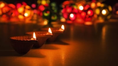 The Diwali Day Act was signed into law by the President. (File) The Diwali Day Act was signed into law by the President. (File)
