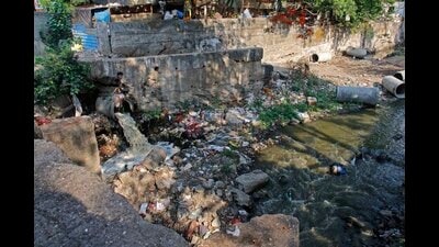 The nullahs thus clogged become a bane during the monsoon, leading to flooding of many low-lying and even central parts of the city. (HT PHOTO)