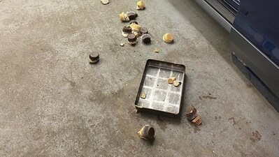 The image shows the cupcakes that the bear destroyed. (Instagram/@tastebyspellbound)