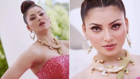 Urvashi Rautela’s necklace, which she wore on the red carpet of Cannes, caught a lot of attention