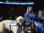 Service dog Justin while receiving diploma at graduation ceremony of owner in New Jersey Service dog Justin while receiving diploma at graduation ceremony of owner in New Jersey
