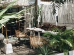 indoor_plants-tropical